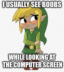 Link Blush | I USUALLY SEE BOOBS WHILE LOOKING AT THE COMPUTER SCREEN | image tagged in link blush | made w/ Imgflip meme maker