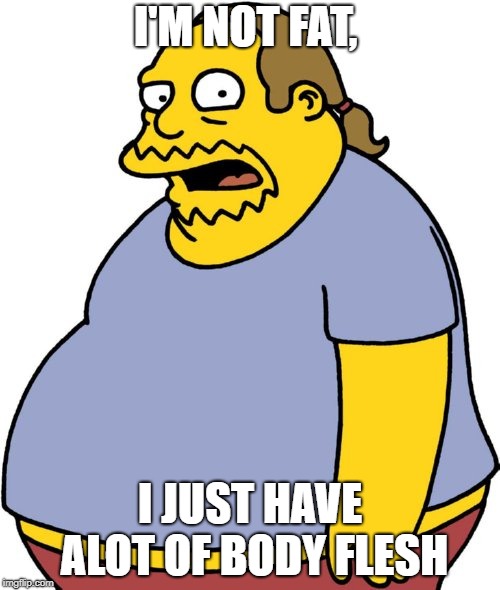 Comic Book Guy | I'M NOT FAT, I JUST HAVE ALOT OF BODY FLESH | image tagged in memes,comic book guy | made w/ Imgflip meme maker