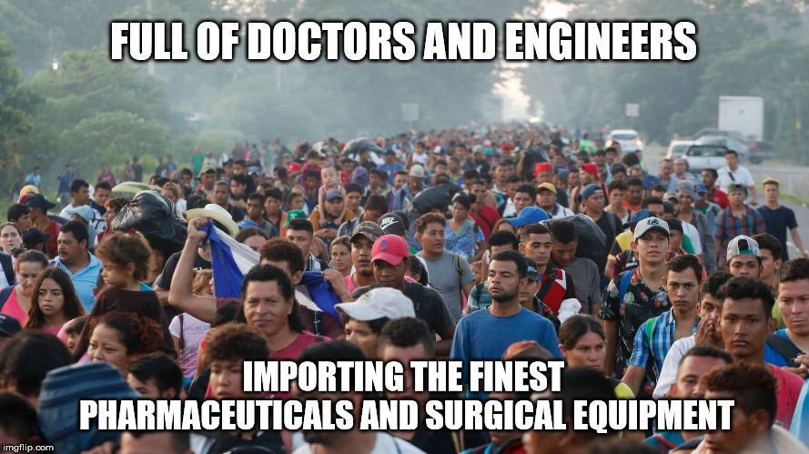 Sending the finest. | FULL OF DOCTORS AND ENGINEERS; IMPORTING THE FINEST PHARMACEUTICALS AND SURGICAL EQUIPMENT | image tagged in politics,illegal immigration | made w/ Imgflip meme maker