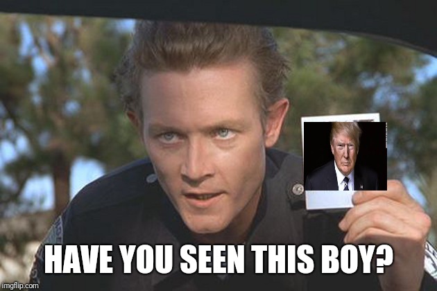 Terminator is looking for someone | HAVE YOU SEEN THIS BOY? | image tagged in terminator,robert patrick,donald trump | made w/ Imgflip meme maker