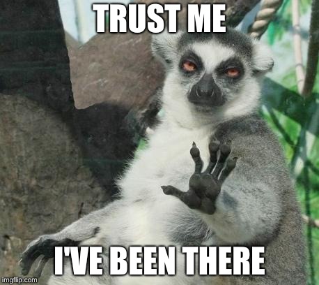 Stoner Lemur Meme | TRUST ME I'VE BEEN THERE | image tagged in memes,stoner lemur | made w/ Imgflip meme maker