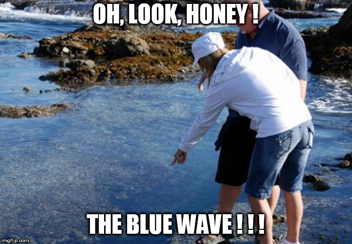 OH, LOOK, HONEY ! THE BLUE WAVE ! ! ! | image tagged in american politics | made w/ Imgflip meme maker