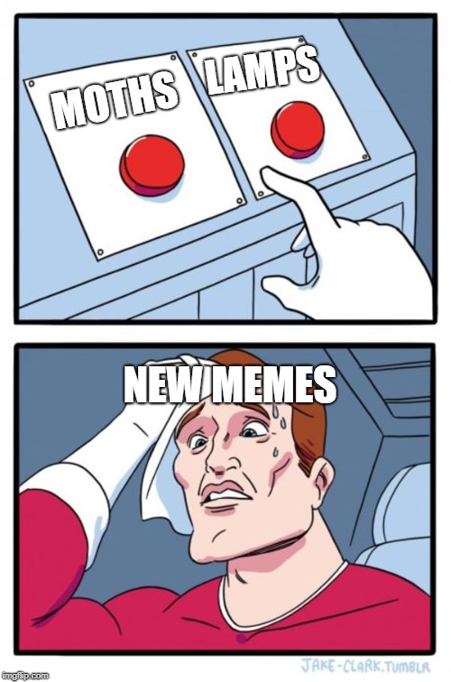 Two Buttons Meme | LAMPS; MOTHS; NEW MEMES | image tagged in memes,two buttons | made w/ Imgflip meme maker