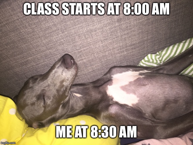Stickdog | CLASS STARTS AT 8:00 AM; ME AT 8:30 AM | image tagged in stickdog | made w/ Imgflip meme maker