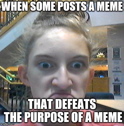WHEN SOME POSTS A MEME; THAT DEFEATS THE PURPOSE OF A MEME | image tagged in angry | made w/ Imgflip meme maker
