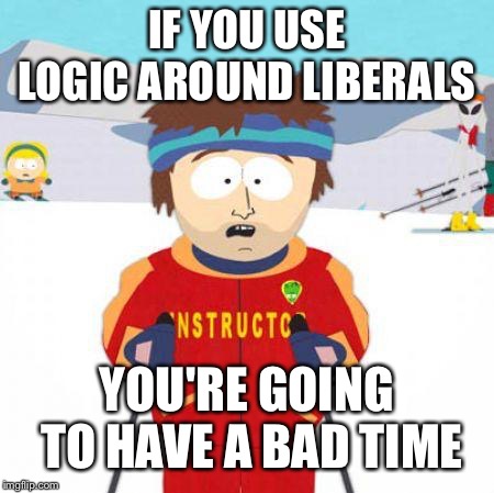 You're gonna have a bad time | IF YOU USE LOGIC AROUND LIBERALS YOU'RE GOING TO HAVE A BAD TIME | image tagged in you're gonna have a bad time | made w/ Imgflip meme maker