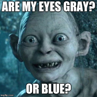 Gollum Meme | ARE MY EYES GRAY? OR BLUE? | image tagged in memes,gollum | made w/ Imgflip meme maker