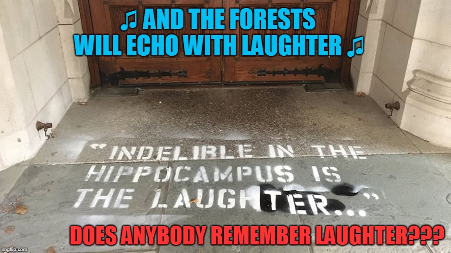 Hmmmm And it Makes Me Wonder... | ♫ AND THE FORESTS WILL ECHO WITH LAUGHTER ♫; DOES ANYBODY REMEMBER LAUGHTER??? | image tagged in christine blasey ford,led zeppelin | made w/ Imgflip meme maker