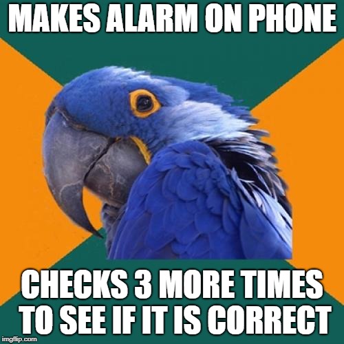 Paranoid Parrot Meme | MAKES ALARM ON PHONE; CHECKS 3 MORE TIMES TO SEE IF IT IS CORRECT | image tagged in memes,paranoid parrot | made w/ Imgflip meme maker