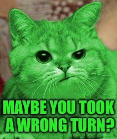 RayCat Annoyed | MAYBE YOU TOOK A WRONG TURN? | image tagged in raycat annoyed | made w/ Imgflip meme maker