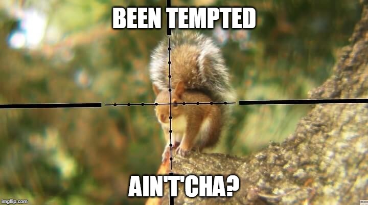 BEEN TEMPTED AIN'T'CHA? | made w/ Imgflip meme maker