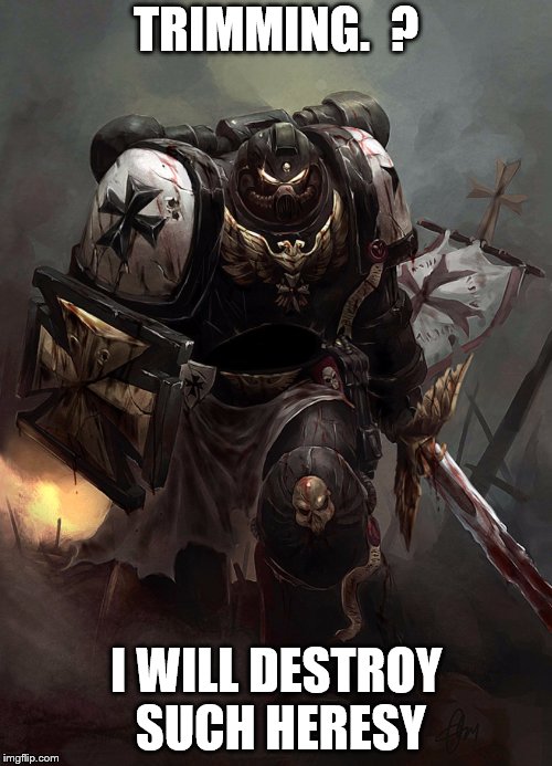 Warhammer 40k Black Templar | TRIMMING.  ? I WILL DESTROY SUCH HERESY | image tagged in warhammer 40k black templar | made w/ Imgflip meme maker