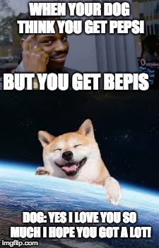 This is a happy dog | WHEN YOUR DOG THINK YOU GET PEPSI; BUT YOU GET BEPIS; DOG: YES I LOVE YOU SO MUCH I HOPE YOU GOT A LOT! | image tagged in dogs,bepis,funny | made w/ Imgflip meme maker