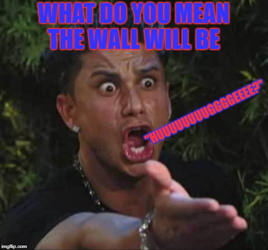 Coz' Trump ain't out of the news | WHAT DO YOU MEAN THE WALL WILL BE; "HUUUUUUUUGGGGEEEE?" | image tagged in jersey shore | made w/ Imgflip meme maker