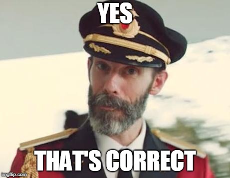 Captain Obvious | YES THAT'S CORRECT | image tagged in captain obvious | made w/ Imgflip meme maker