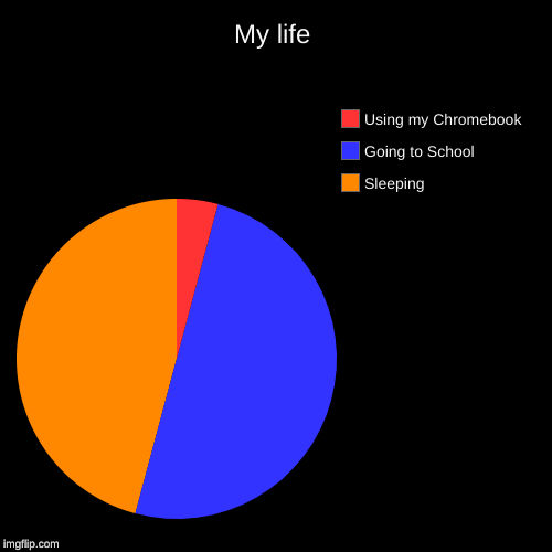 My life | My life | Sleeping, Going to School, Using my Chromebook | image tagged in funny,pie charts | made w/ Imgflip chart maker