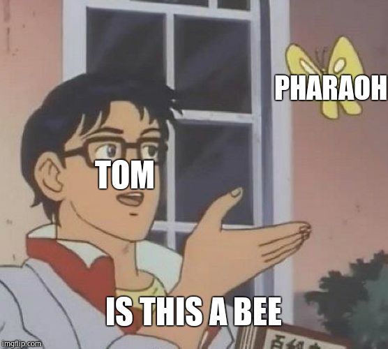 Inside joke | PHARAOH; TOM; IS THIS A BEE | image tagged in memes,is this a pigeon | made w/ Imgflip meme maker