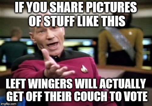 Picard Wtf Meme | IF YOU SHARE PICTURES OF STUFF LIKE THIS LEFT WINGERS WILL ACTUALLY GET OFF THEIR COUCH TO VOTE | image tagged in memes,picard wtf | made w/ Imgflip meme maker