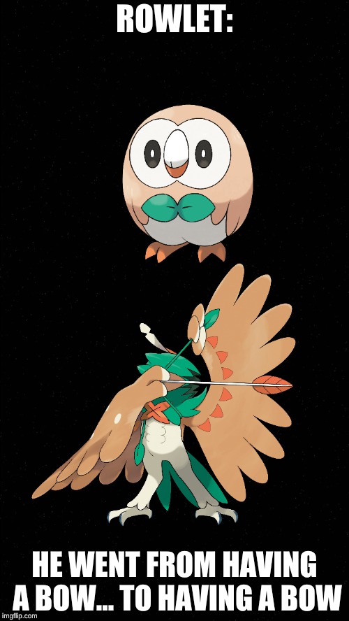 Rowlet | ROWLET:; HE WENT FROM HAVING A BOW... TO HAVING A BOW | image tagged in black,pokemon,rowlet,decidueye,lol | made w/ Imgflip meme maker