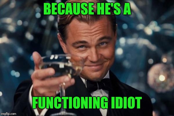 Leonardo Dicaprio Cheers Meme | BECAUSE HE'S A FUNCTIONING IDIOT | image tagged in memes,leonardo dicaprio cheers | made w/ Imgflip meme maker