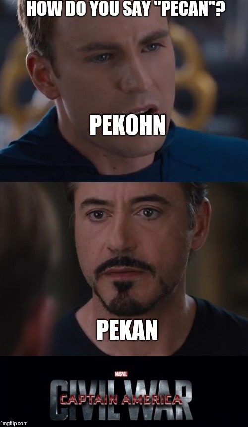Marvel Civil War Meme | HOW DO YOU SAY "PECAN"? PEKOHN; PEKAN | image tagged in memes,marvel civil war | made w/ Imgflip meme maker
