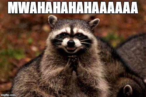 Evil Plotting Raccoon Meme | MWAHAHAHAHAAAAAA | image tagged in memes,evil plotting raccoon | made w/ Imgflip meme maker