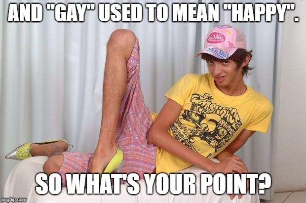 Gay | AND "GAY" USED TO MEAN "HAPPY". SO WHAT'S YOUR POINT? | image tagged in gay | made w/ Imgflip meme maker