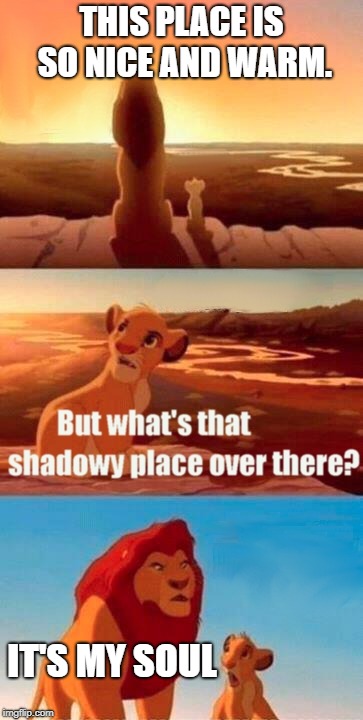 Simba Shadowy Place Meme | THIS PLACE IS SO NICE AND WARM. IT'S MY SOUL | image tagged in memes,simba shadowy place | made w/ Imgflip meme maker