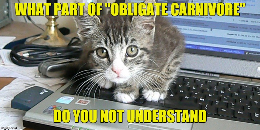 WHAT PART OF "OBLIGATE CARNIVORE" DO YOU NOT UNDERSTAND | made w/ Imgflip meme maker