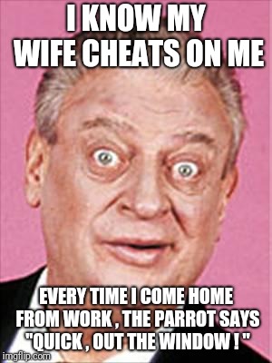 rodney dangerfield | I KNOW MY WIFE CHEATS ON ME; EVERY TIME I COME HOME FROM WORK , THE PARROT SAYS "QUICK , OUT THE WINDOW ! " | image tagged in rodney dangerfield | made w/ Imgflip meme maker