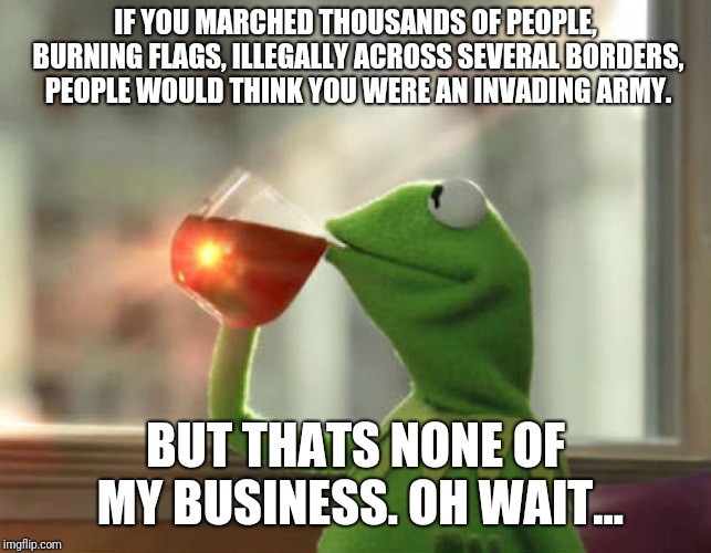 But That's None Of My Business (Neutral) | IF YOU MARCHED THOUSANDS OF PEOPLE, BURNING FLAGS, ILLEGALLY ACROSS SEVERAL BORDERS, PEOPLE WOULD THINK YOU WERE AN INVADING ARMY. BUT THATS NONE OF MY BUSINESS. OH WAIT... | image tagged in memes,but thats none of my business neutral | made w/ Imgflip meme maker