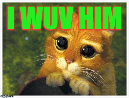 Shrek Cat Meme | I WUV HIM | image tagged in memes,shrek cat | made w/ Imgflip meme maker