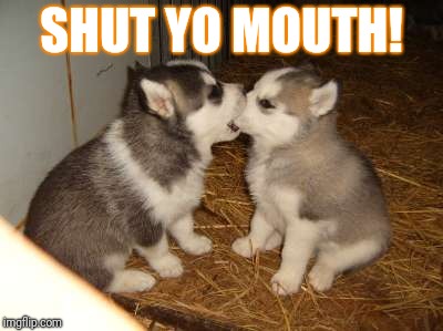 Cute Puppies | SHUT YO MOUTH! | image tagged in memes,cute puppies | made w/ Imgflip meme maker