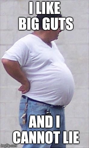 Beer gut | I LIKE BIG GUTS AND I CANNOT LIE | image tagged in beer gut | made w/ Imgflip meme maker