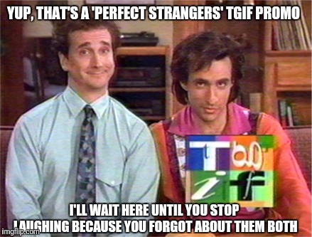 Wham, Bam, got you right in the 90's | YUP, THAT'S A 'PERFECT STRANGERS' TGIF PROMO; I'LL WAIT HERE UNTIL YOU STOP LAUGHING BECAUSE YOU FORGOT ABOUT THEM BOTH | image tagged in memes,funny,balky,tgif,90's,flarp | made w/ Imgflip meme maker