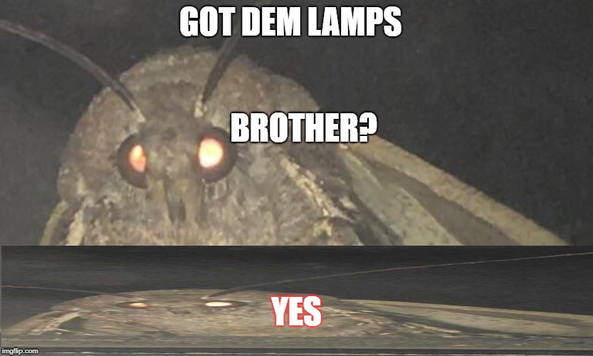 MOTH MEME | GOT DEM LAMPS; BROTHER? YES | image tagged in moth meme | made w/ Imgflip meme maker