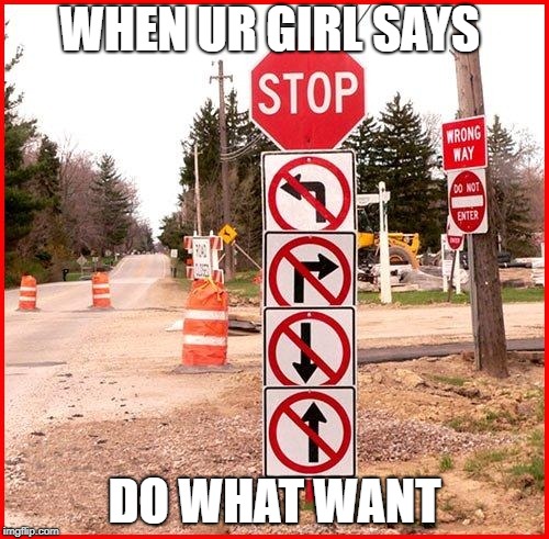 stop sign | WHEN UR GIRL SAYS; DO WHAT WANT | image tagged in stop sign | made w/ Imgflip meme maker