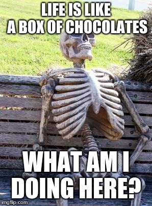 Waiting Skeleton Meme | LIFE IS LIKE A BOX OF CHOCOLATES; WHAT AM I DOING HERE? | image tagged in memes,waiting skeleton | made w/ Imgflip meme maker