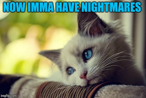First World Problems Cat Meme | NOW IMMA HAVE NIGHTMARES | image tagged in memes,first world problems cat | made w/ Imgflip meme maker