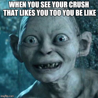 Gollum | WHEN YOU SEE YOUR CRUSH THAT LIKES YOU TOO YOU BE LIKE | image tagged in memes,gollum | made w/ Imgflip meme maker
