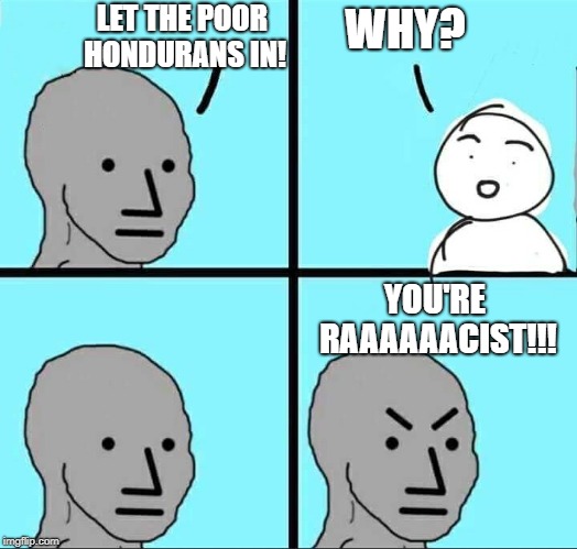 LOL | WHY? LET THE POOR HONDURANS IN! YOU'RE RAAAAAACIST!!! | image tagged in npc meme,immigration,liberal excuses | made w/ Imgflip meme maker
