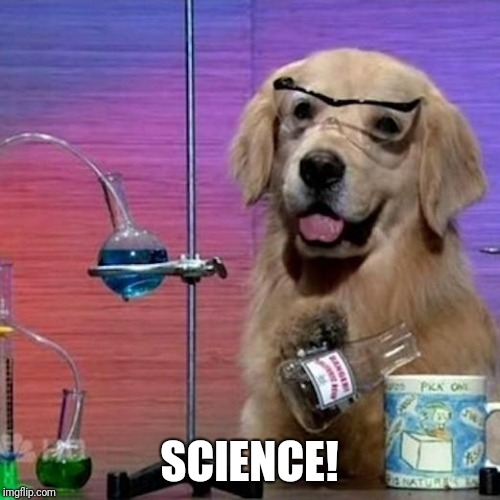 I Have No Idea What I Am Doing Dog Meme | SCIENCE! | image tagged in memes,i have no idea what i am doing dog | made w/ Imgflip meme maker