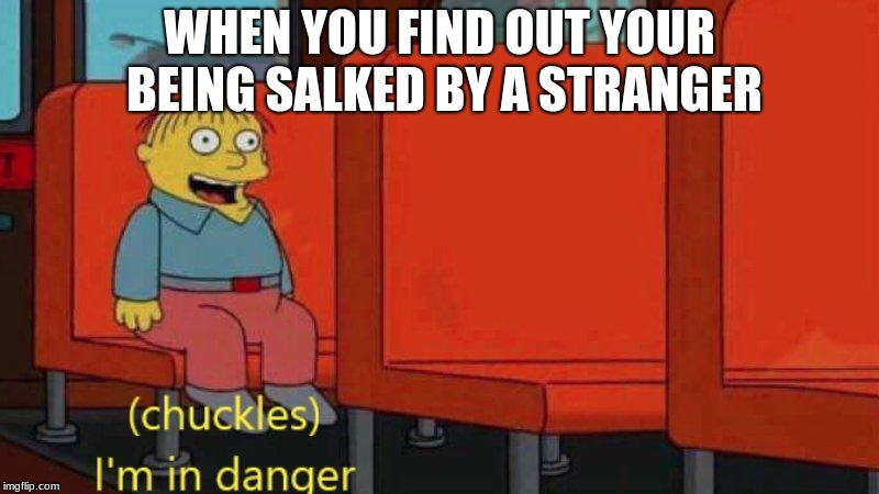 I’m in danger | WHEN YOU FIND OUT YOUR BEING SALKED BY A STRANGER | image tagged in im in danger | made w/ Imgflip meme maker