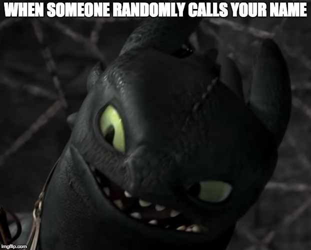WHEN SOMEONE RANDOMLY CALLS YOUR NAME | image tagged in how to train your dragon,toothless | made w/ Imgflip meme maker