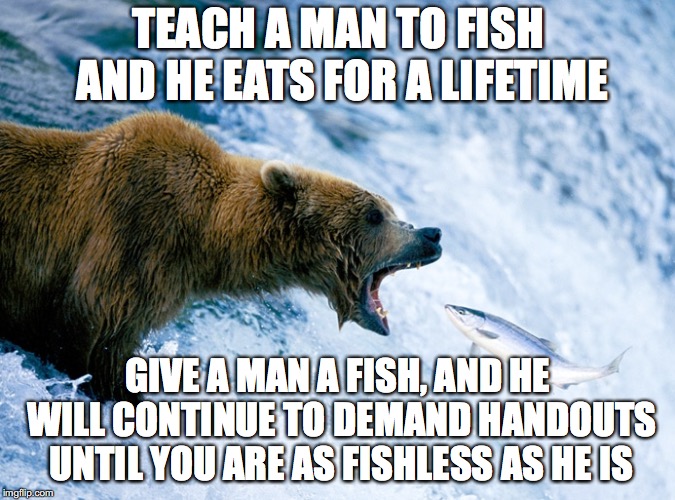 No Free Handouts | TEACH A MAN TO FISH AND HE EATS FOR A LIFETIME; GIVE A MAN A FISH, AND HE WILL CONTINUE TO DEMAND HANDOUTS UNTIL YOU ARE AS FISHLESS AS HE IS | image tagged in fish and bear | made w/ Imgflip meme maker
