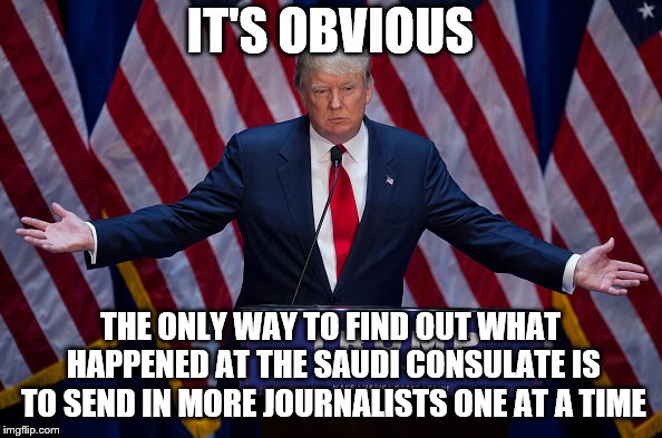 Donald Trump | IT'S OBVIOUS; THE ONLY WAY TO FIND OUT WHAT HAPPENED AT THE SAUDI CONSULATE IS TO SEND IN MORE JOURNALISTS ONE AT A TIME | image tagged in donald trump | made w/ Imgflip meme maker