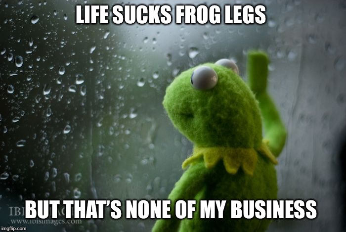 kermit window | LIFE SUCKS FROG LEGS; BUT THAT’S NONE OF MY BUSINESS | image tagged in kermit window,life sucks,frog legs,none of my business,lipton,pissed | made w/ Imgflip meme maker
