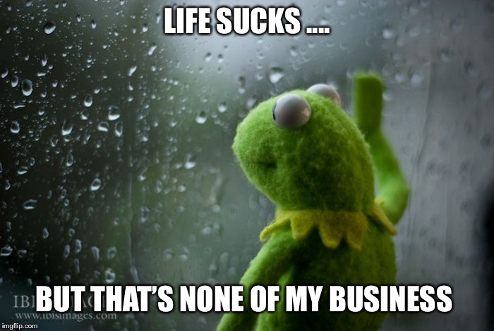 kermit window | LIFE SUCKS .... BUT THAT’S NONE OF MY BUSINESS | image tagged in kermit window,life sucks,none of my business,lipton,sad | made w/ Imgflip meme maker