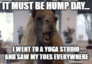 Hump Day Camel | IT MUST BE HUMP DAY... I WENT TO A YOGA STUDIO AND SAW MY TOES EVERYWHERE | image tagged in hump day camel | made w/ Imgflip meme maker