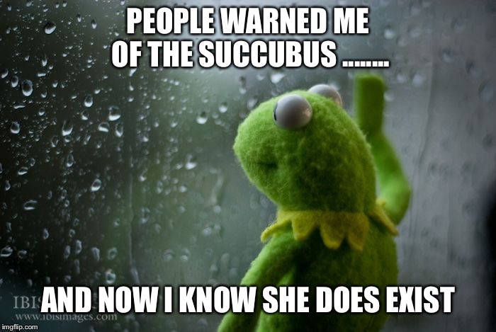 kermit window | PEOPLE WARNED ME OF THE SUCCUBUS ........ AND NOW I KNOW SHE DOES EXIST | image tagged in kermit window,succubus,heartbroken,sad,kermit the frog,break up | made w/ Imgflip meme maker